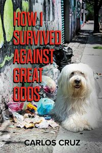 Produktbild: How I Survived Against Great Odds
