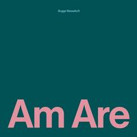Produktbild: Am Are,2 Schallplatte