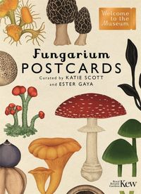Produktbild: Gaya, E: Fungarium Postcards