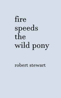 Produktbild: Fire Speeds the Wild Pony