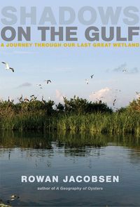 Produktbild: Shadows On The Gulf