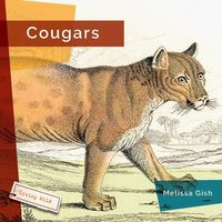 Produktbild: Cougars