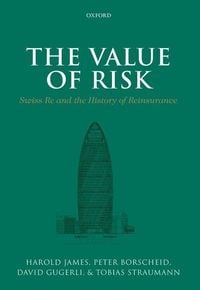 Bild vom Artikel The Value of Risk vom Autor Peter Borscheid