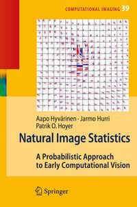 Produktbild: Natural Image Statistics
