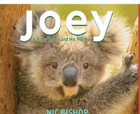 Produktbild: Joey: A Baby Koala and His Mother