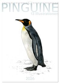 Produktbild: Pinguine - 13 Illustrationen (Wandkalender 2026 DIN A3 hoch), CALVENDO Monatskalender