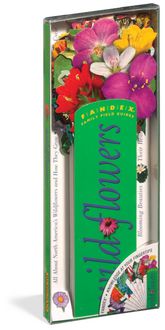 Produktbild: Fandex Family Field Guides: Wildflowers