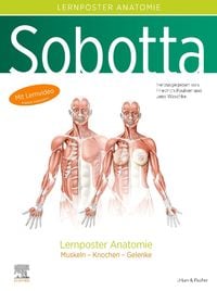 Produktbild: Sobotta Lernposter Anatomie