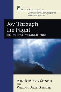 Produktbild: Joy Through the Night