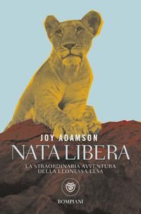 Produktbild: Nata libera. La straordinaria avventura della leonessa Elsa
