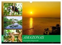 Produktbild: Amazonas - Faszination Regenwald (Wandkalender 2026 DIN A3 quer), CALVENDO Monatskalender