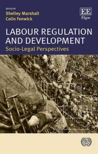 Produktbild: Labour Regulation and Development