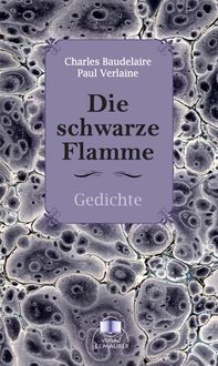 Produktbild: Die schwarze Flamme