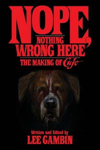 Produktbild: Nope, Nothing Wrong Here