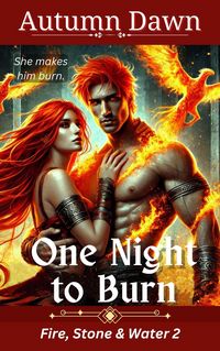 Produktbild: One Night to Burn (Fire, Stone & Water, #2)