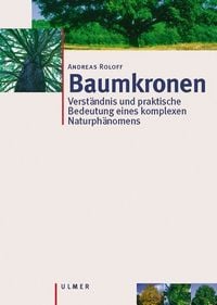 Produktbild: Baumkronen