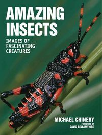 Produktbild: Amazing Insects