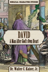 Produktbild: David