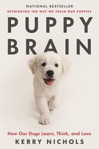 Produktbild: Puppy Brain