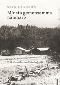 Produktbild: Minsta gemensamma n&auml;mnare