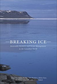 Produktbild: Breaking Ice