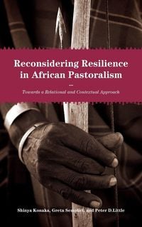 Produktbild: Reconsidering Resilience in African Pastoralism