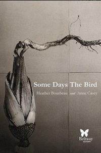 Produktbild: Some Days the Bird