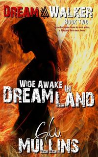 Produktbild: Wide Awake In Dream Land