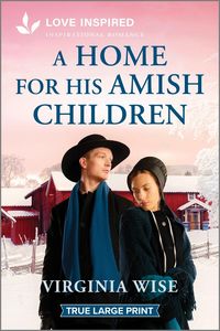 Produktbild: A Home for His Amish Children