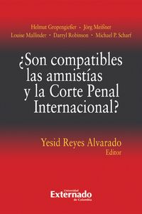 Produktbild: &iquest;Son compatibles las amnist&iacute;as y la Corte Penal Internacional?