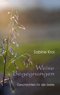 Produktbild: Weise Begegnungen - Geschichten f&uuml;r die Seele