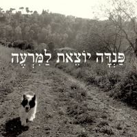 Produktbild: פנדה יוצאת למרעה