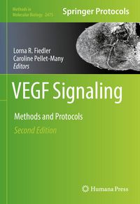 Produktbild: VEGF Signaling