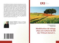 Produktbild: Mod&eacute;lisation de tallage chez une culture de bl&eacute; dur Triticum durum L.