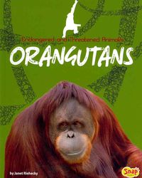 Produktbild: Orangutans