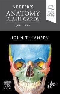 Produktbild: Hansen, J: Netter's Anatomy Flash Cards