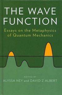 Produktbild: The Wave Function