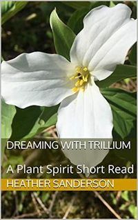 Produktbild: Dreaming with Trillium