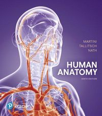 Produktbild: Human Anatomy