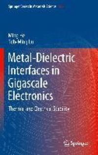 Produktbild: Metal-Dielectric Interfaces in Gigascale Electronics