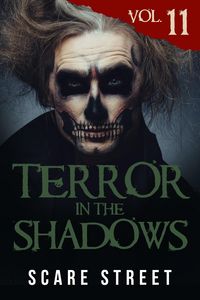 Produktbild: Terror in the Shadows Vol. 11