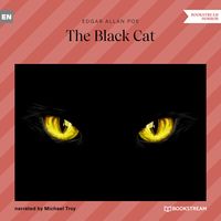 Produktbild: The Black Cat