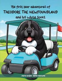 Produktbild: The First Year Adventures Of Theodore The Newfoundland And His White Socks