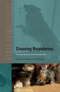 Produktbild: Crossing Boundaries