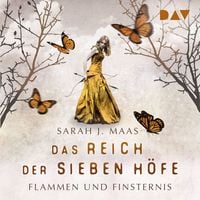 Produktbild: Flammen und Finsternis / Das Reich der sieben H&ouml;fe Bd.2