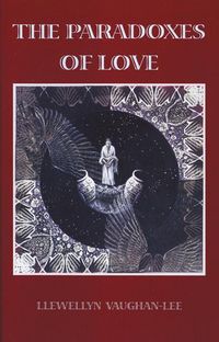 Produktbild: The Paradoxes of Love