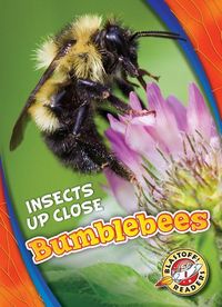 Produktbild: Bumblebees