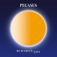 Produktbild: Beautiful Life