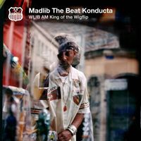 Produktbild: WLIB AM: King of the Wigflip