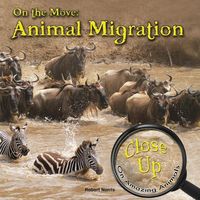 Produktbild: On the Move